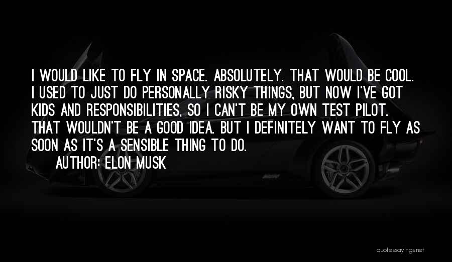 Elon Musk Quotes: I Would Like To Fly In Space. Absolutely. That Would Be Cool. I Used To Just Do Personally Risky Things,