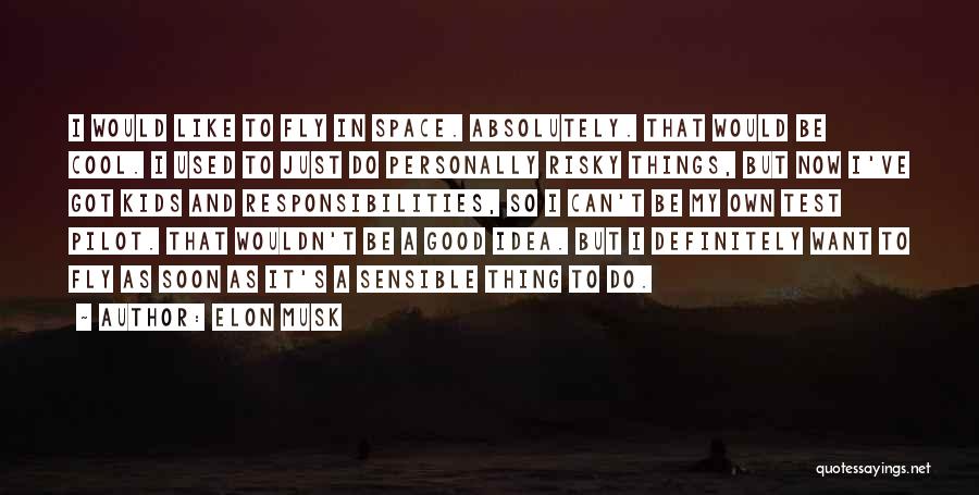 Elon Musk Quotes: I Would Like To Fly In Space. Absolutely. That Would Be Cool. I Used To Just Do Personally Risky Things,