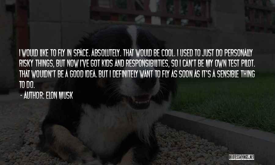 Elon Musk Quotes: I Would Like To Fly In Space. Absolutely. That Would Be Cool. I Used To Just Do Personally Risky Things,