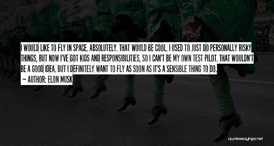 Elon Musk Quotes: I Would Like To Fly In Space. Absolutely. That Would Be Cool. I Used To Just Do Personally Risky Things,