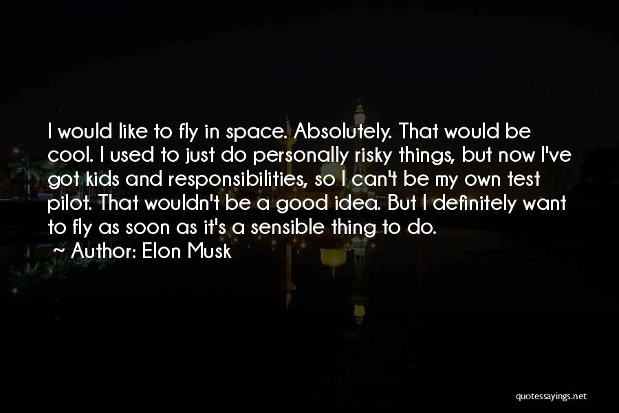 Elon Musk Quotes: I Would Like To Fly In Space. Absolutely. That Would Be Cool. I Used To Just Do Personally Risky Things,