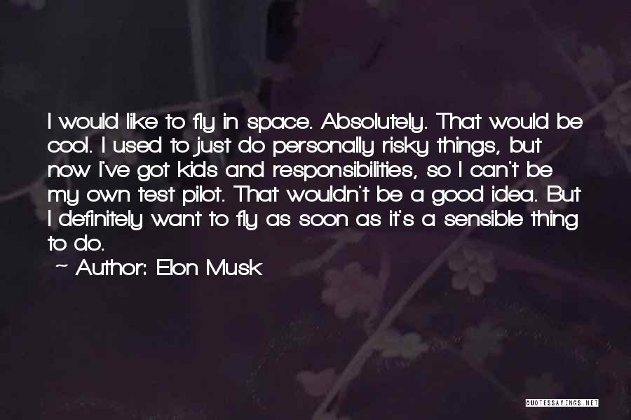 Elon Musk Quotes: I Would Like To Fly In Space. Absolutely. That Would Be Cool. I Used To Just Do Personally Risky Things,