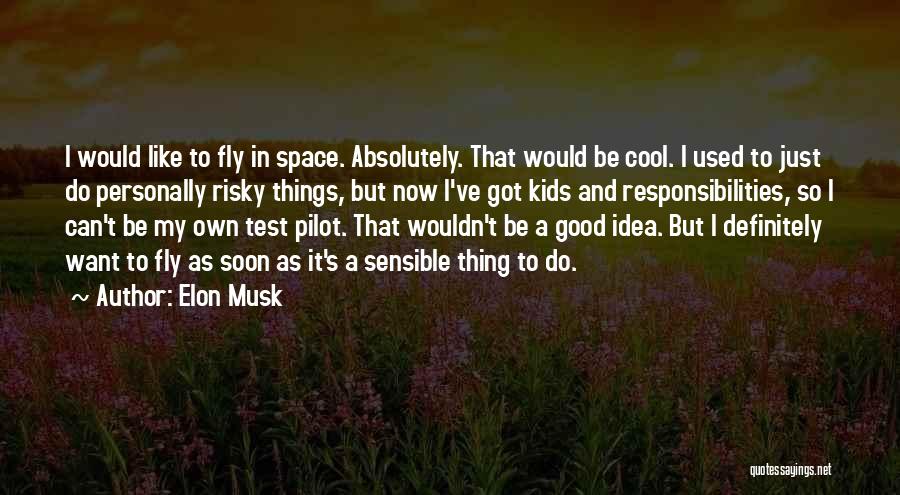 Elon Musk Quotes: I Would Like To Fly In Space. Absolutely. That Would Be Cool. I Used To Just Do Personally Risky Things,