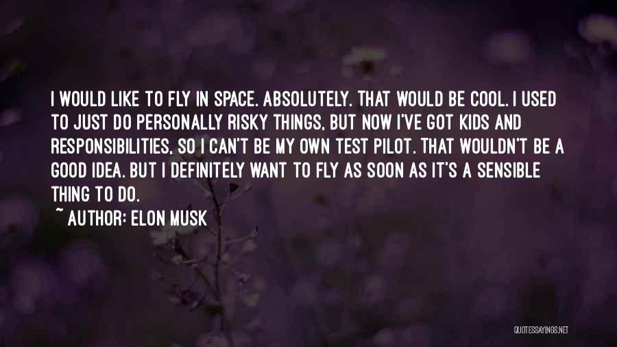 Elon Musk Quotes: I Would Like To Fly In Space. Absolutely. That Would Be Cool. I Used To Just Do Personally Risky Things,