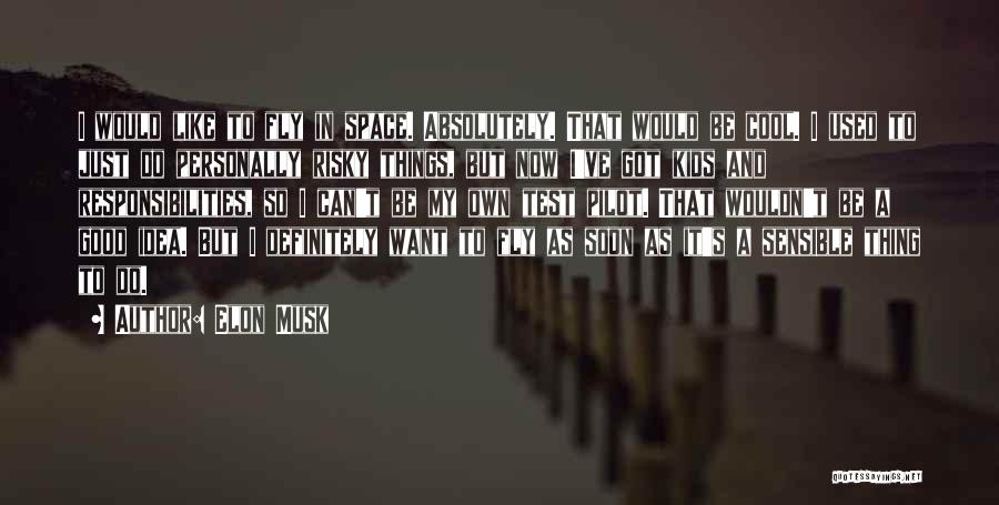 Elon Musk Quotes: I Would Like To Fly In Space. Absolutely. That Would Be Cool. I Used To Just Do Personally Risky Things,