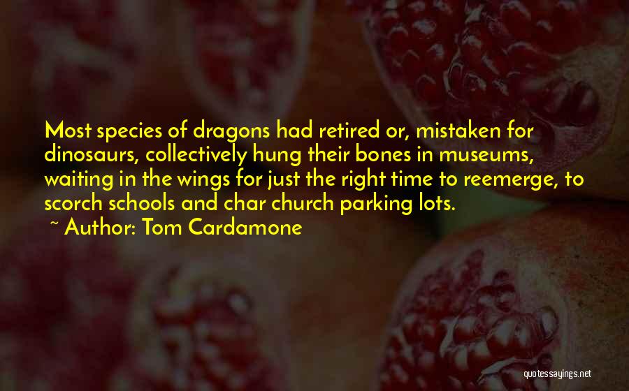 Tom Cardamone Quotes: Most Species Of Dragons Had Retired Or, Mistaken For Dinosaurs, Collectively Hung Their Bones In Museums, Waiting In The Wings