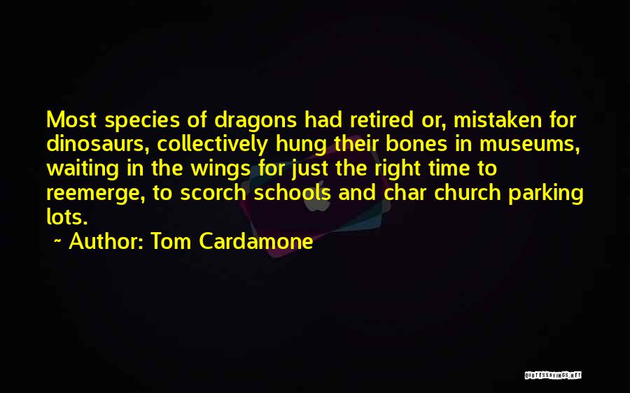 Tom Cardamone Quotes: Most Species Of Dragons Had Retired Or, Mistaken For Dinosaurs, Collectively Hung Their Bones In Museums, Waiting In The Wings