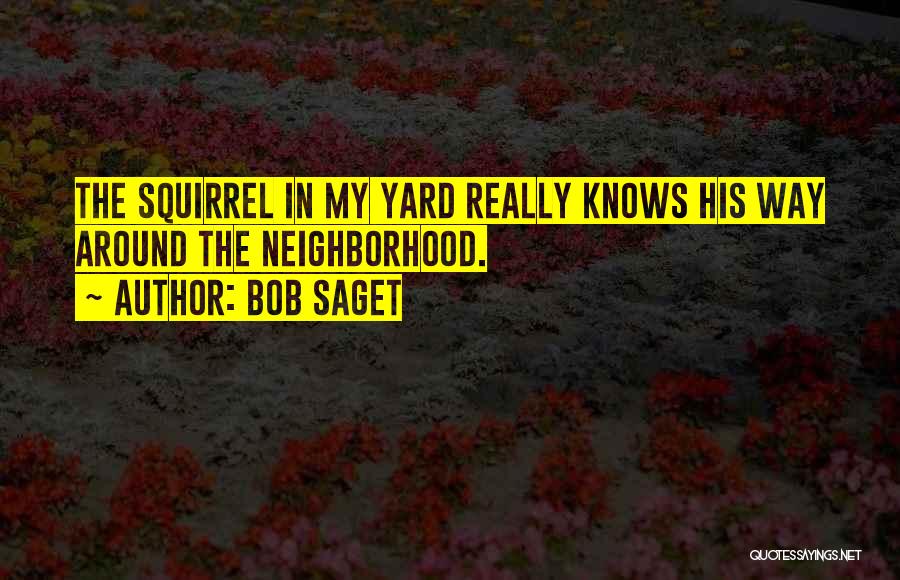 Bob Saget Quotes: The Squirrel In My Yard Really Knows His Way Around The Neighborhood.