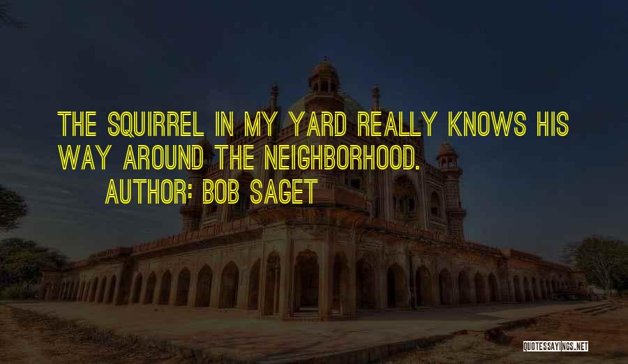 Bob Saget Quotes: The Squirrel In My Yard Really Knows His Way Around The Neighborhood.