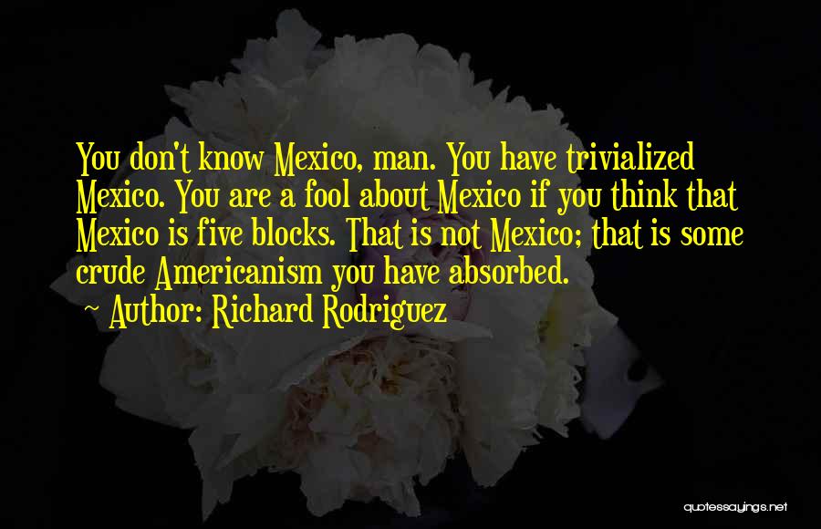 Richard Rodriguez Quotes: You Don't Know Mexico, Man. You Have Trivialized Mexico. You Are A Fool About Mexico If You Think That Mexico