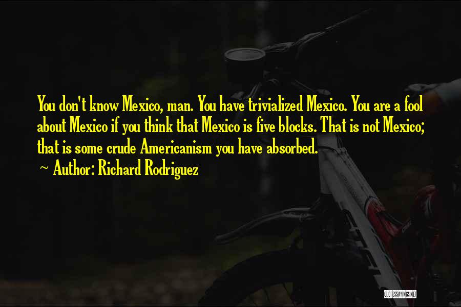 Richard Rodriguez Quotes: You Don't Know Mexico, Man. You Have Trivialized Mexico. You Are A Fool About Mexico If You Think That Mexico