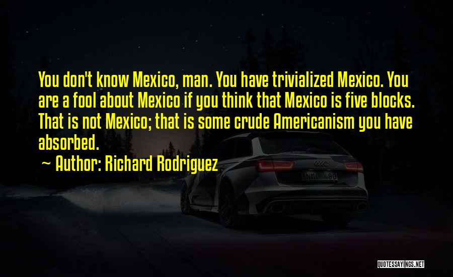 Richard Rodriguez Quotes: You Don't Know Mexico, Man. You Have Trivialized Mexico. You Are A Fool About Mexico If You Think That Mexico