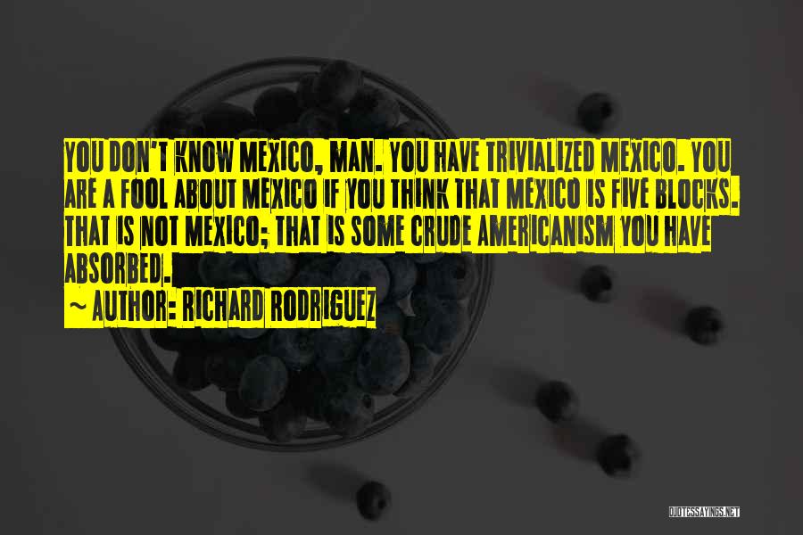 Richard Rodriguez Quotes: You Don't Know Mexico, Man. You Have Trivialized Mexico. You Are A Fool About Mexico If You Think That Mexico