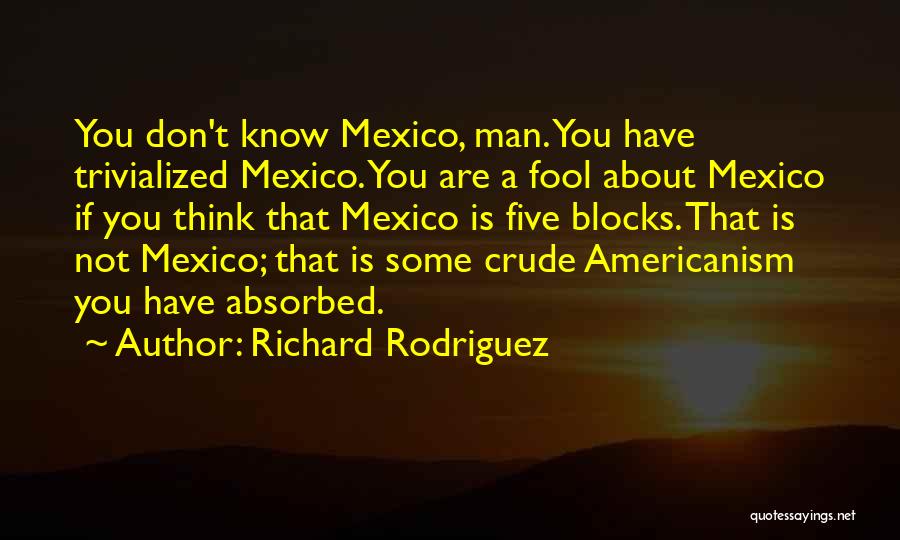 Richard Rodriguez Quotes: You Don't Know Mexico, Man. You Have Trivialized Mexico. You Are A Fool About Mexico If You Think That Mexico