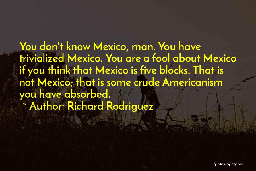 Richard Rodriguez Quotes: You Don't Know Mexico, Man. You Have Trivialized Mexico. You Are A Fool About Mexico If You Think That Mexico