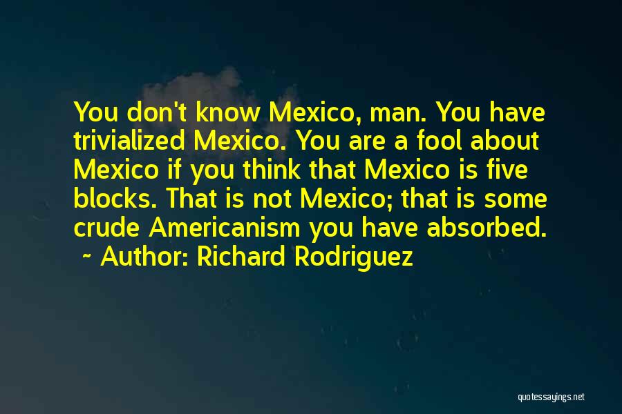 Richard Rodriguez Quotes: You Don't Know Mexico, Man. You Have Trivialized Mexico. You Are A Fool About Mexico If You Think That Mexico