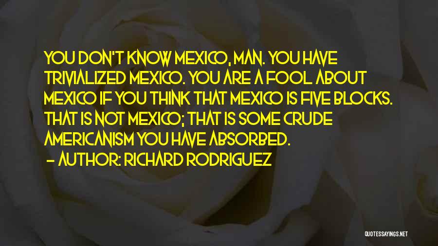 Richard Rodriguez Quotes: You Don't Know Mexico, Man. You Have Trivialized Mexico. You Are A Fool About Mexico If You Think That Mexico