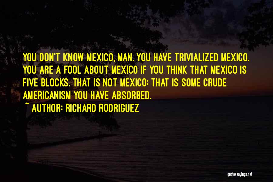 Richard Rodriguez Quotes: You Don't Know Mexico, Man. You Have Trivialized Mexico. You Are A Fool About Mexico If You Think That Mexico