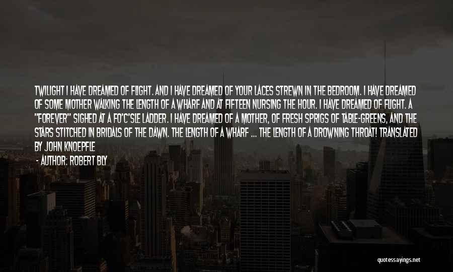 Robert Bly Quotes: Twilight I Have Dreamed Of Flight. And I Have Dreamed Of Your Laces Strewn In The Bedroom. I Have Dreamed