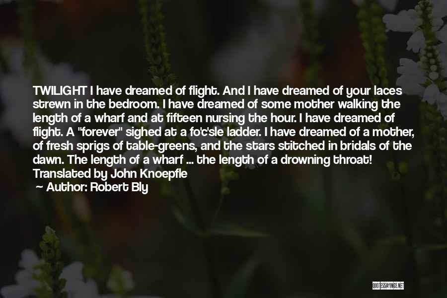 Robert Bly Quotes: Twilight I Have Dreamed Of Flight. And I Have Dreamed Of Your Laces Strewn In The Bedroom. I Have Dreamed