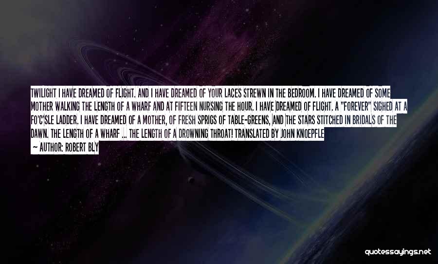 Robert Bly Quotes: Twilight I Have Dreamed Of Flight. And I Have Dreamed Of Your Laces Strewn In The Bedroom. I Have Dreamed