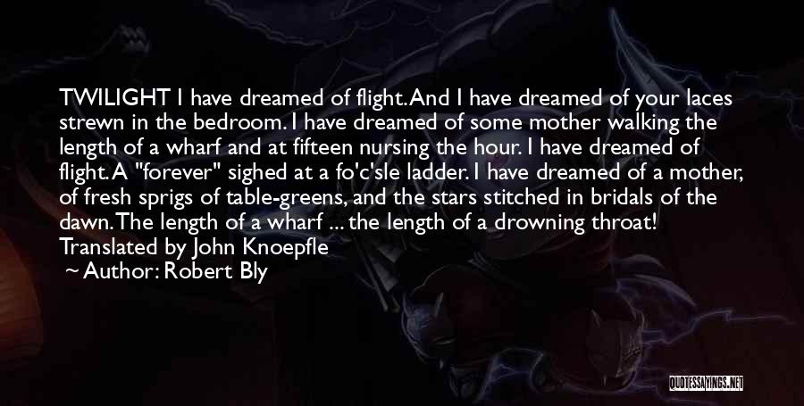 Robert Bly Quotes: Twilight I Have Dreamed Of Flight. And I Have Dreamed Of Your Laces Strewn In The Bedroom. I Have Dreamed