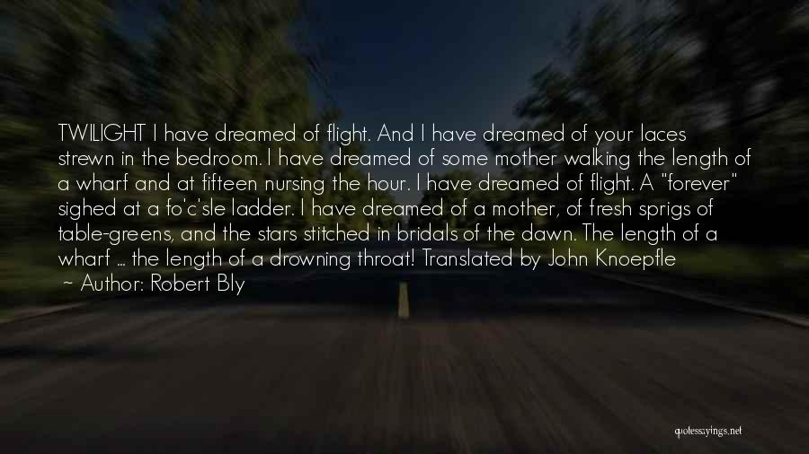 Robert Bly Quotes: Twilight I Have Dreamed Of Flight. And I Have Dreamed Of Your Laces Strewn In The Bedroom. I Have Dreamed