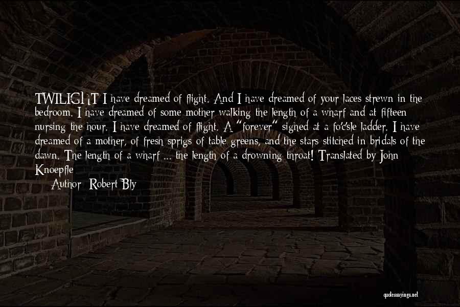 Robert Bly Quotes: Twilight I Have Dreamed Of Flight. And I Have Dreamed Of Your Laces Strewn In The Bedroom. I Have Dreamed