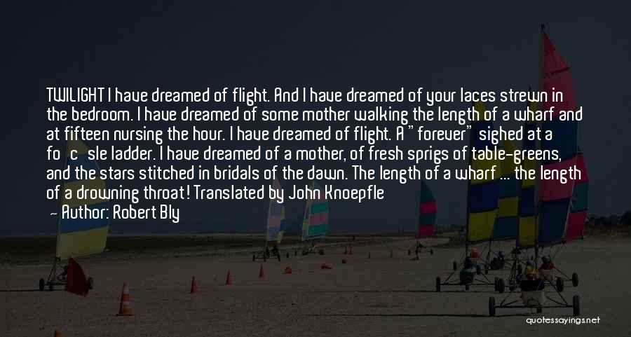 Robert Bly Quotes: Twilight I Have Dreamed Of Flight. And I Have Dreamed Of Your Laces Strewn In The Bedroom. I Have Dreamed