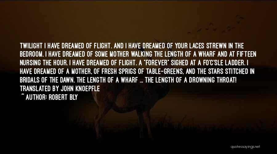 Robert Bly Quotes: Twilight I Have Dreamed Of Flight. And I Have Dreamed Of Your Laces Strewn In The Bedroom. I Have Dreamed