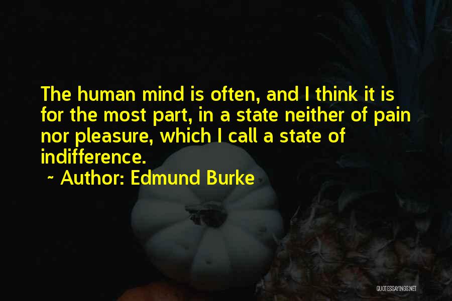 Edmund Burke Quotes: The Human Mind Is Often, And I Think It Is For The Most Part, In A State Neither Of Pain