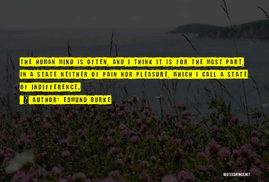 Edmund Burke Quotes: The Human Mind Is Often, And I Think It Is For The Most Part, In A State Neither Of Pain
