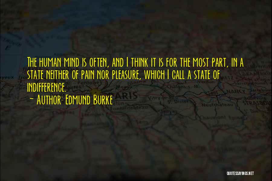 Edmund Burke Quotes: The Human Mind Is Often, And I Think It Is For The Most Part, In A State Neither Of Pain