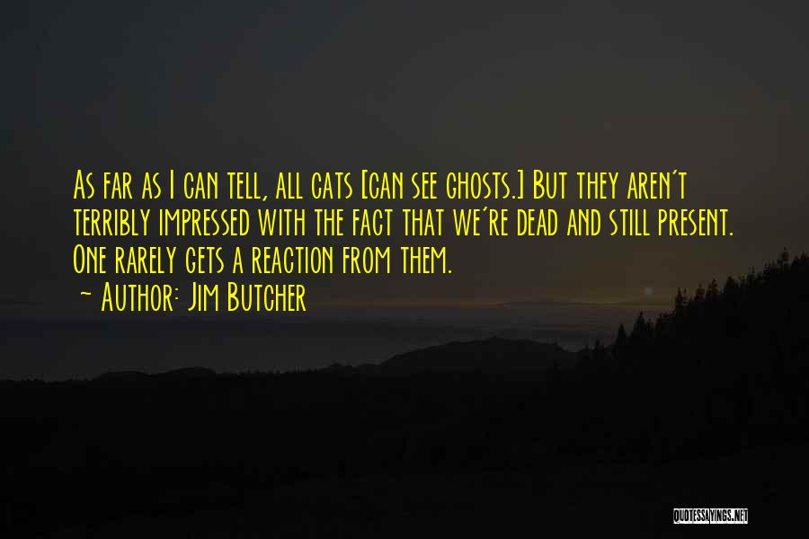 Jim Butcher Quotes: As Far As I Can Tell, All Cats [can See Ghosts.] But They Aren't Terribly Impressed With The Fact That