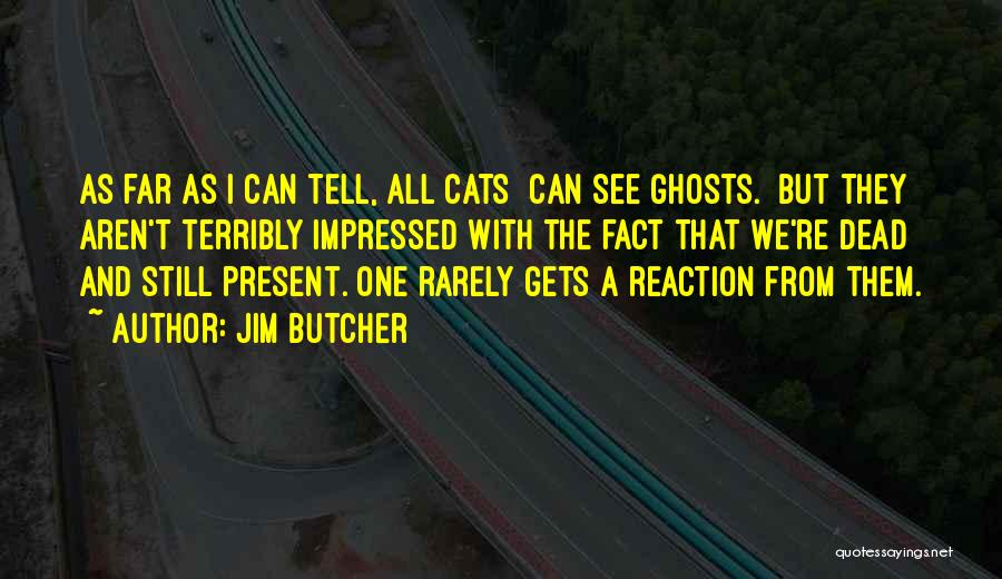 Jim Butcher Quotes: As Far As I Can Tell, All Cats [can See Ghosts.] But They Aren't Terribly Impressed With The Fact That