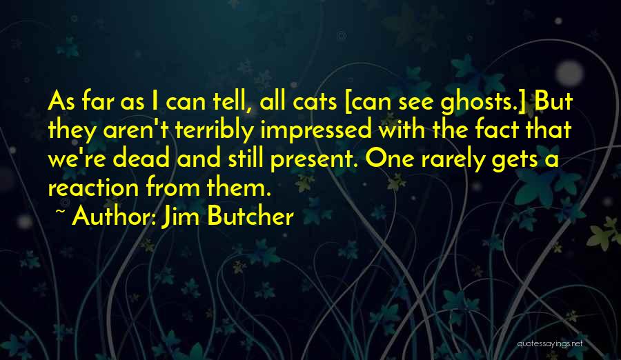 Jim Butcher Quotes: As Far As I Can Tell, All Cats [can See Ghosts.] But They Aren't Terribly Impressed With The Fact That