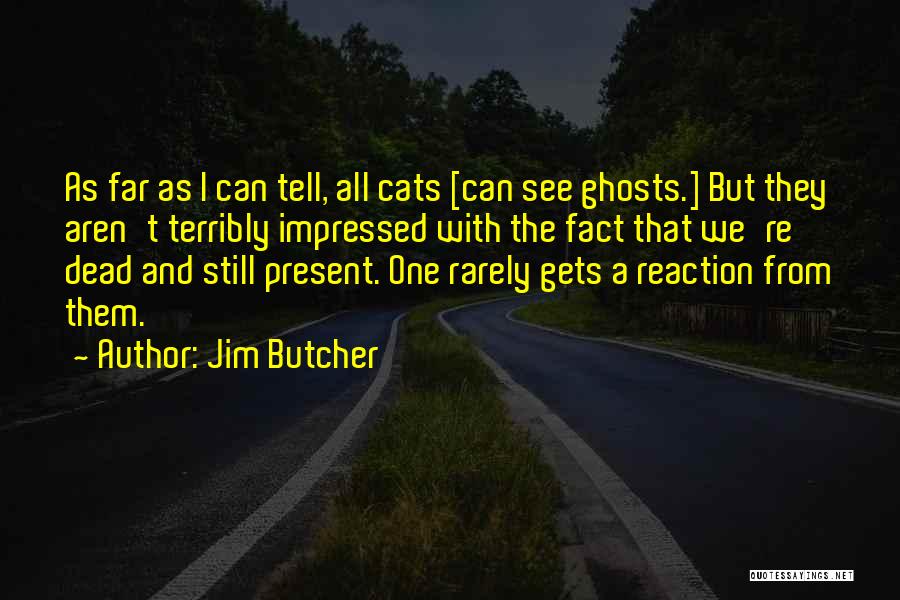 Jim Butcher Quotes: As Far As I Can Tell, All Cats [can See Ghosts.] But They Aren't Terribly Impressed With The Fact That