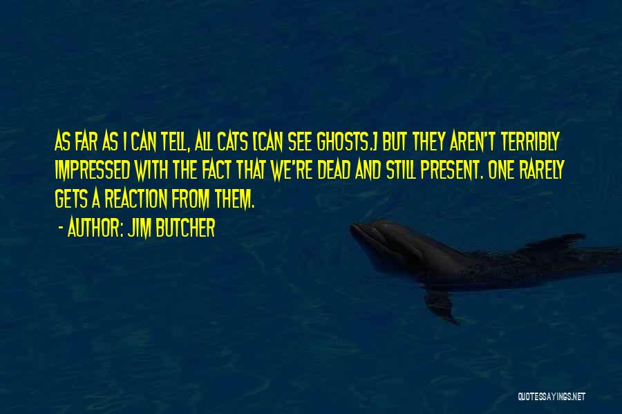 Jim Butcher Quotes: As Far As I Can Tell, All Cats [can See Ghosts.] But They Aren't Terribly Impressed With The Fact That