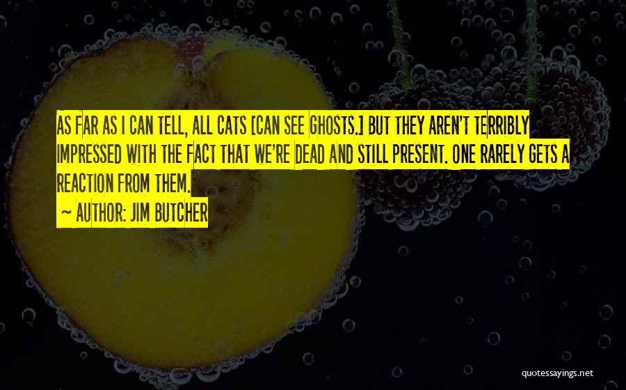 Jim Butcher Quotes: As Far As I Can Tell, All Cats [can See Ghosts.] But They Aren't Terribly Impressed With The Fact That