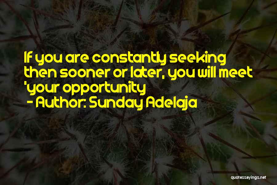 Sunday Adelaja Quotes: If You Are Constantly Seeking Then Sooner Or Later, You Will Meet 'your Opportunity