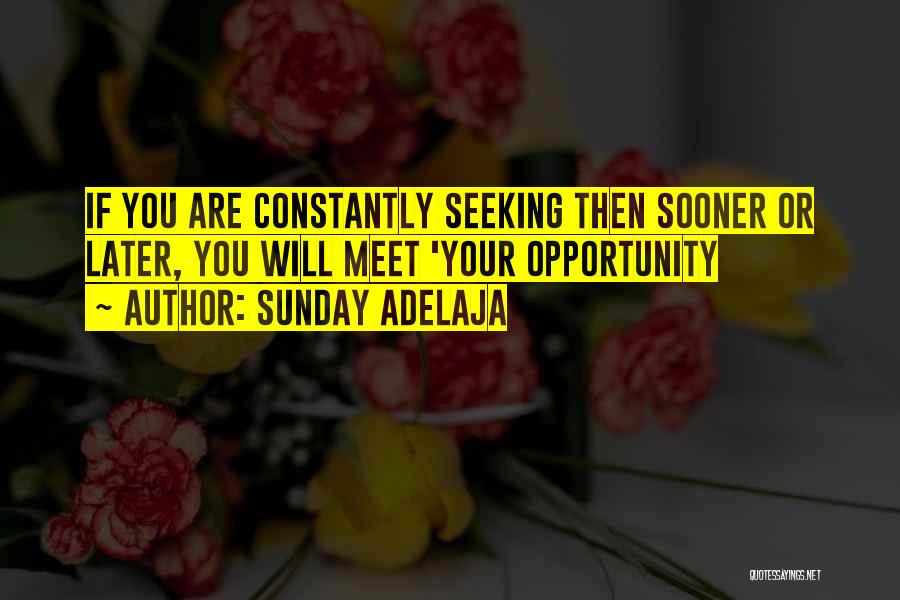 Sunday Adelaja Quotes: If You Are Constantly Seeking Then Sooner Or Later, You Will Meet 'your Opportunity