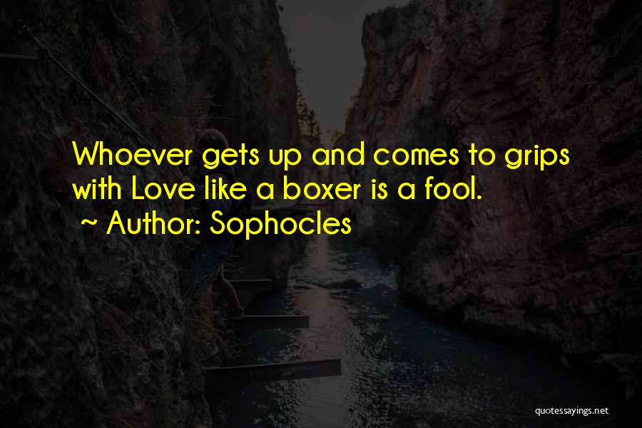 Sophocles Quotes: Whoever Gets Up And Comes To Grips With Love Like A Boxer Is A Fool.