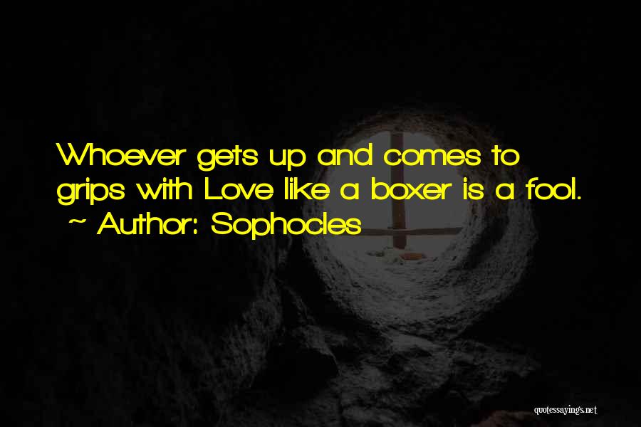 Sophocles Quotes: Whoever Gets Up And Comes To Grips With Love Like A Boxer Is A Fool.