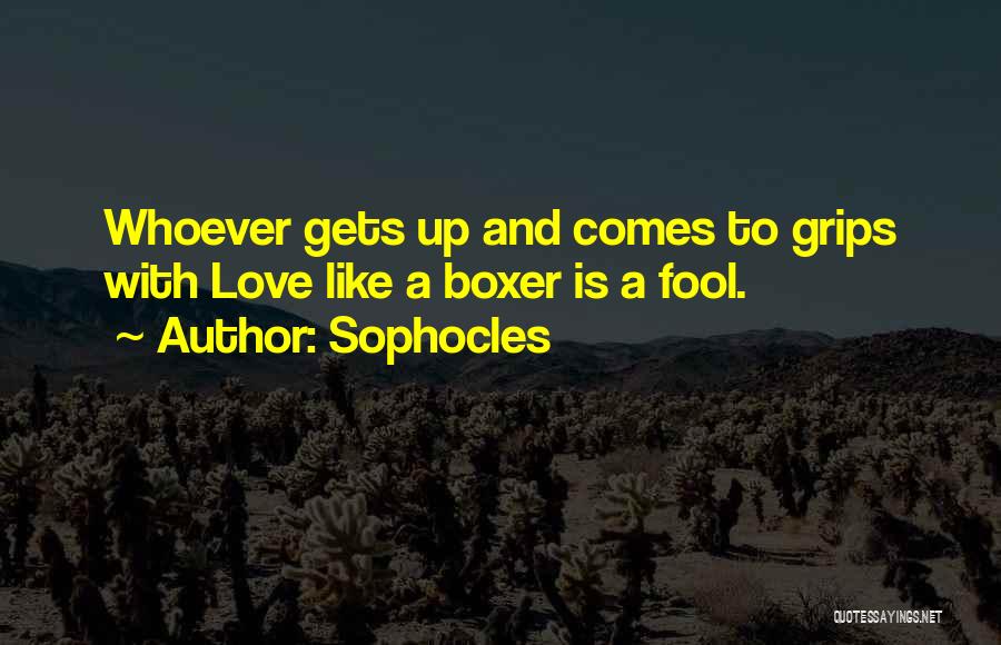 Sophocles Quotes: Whoever Gets Up And Comes To Grips With Love Like A Boxer Is A Fool.