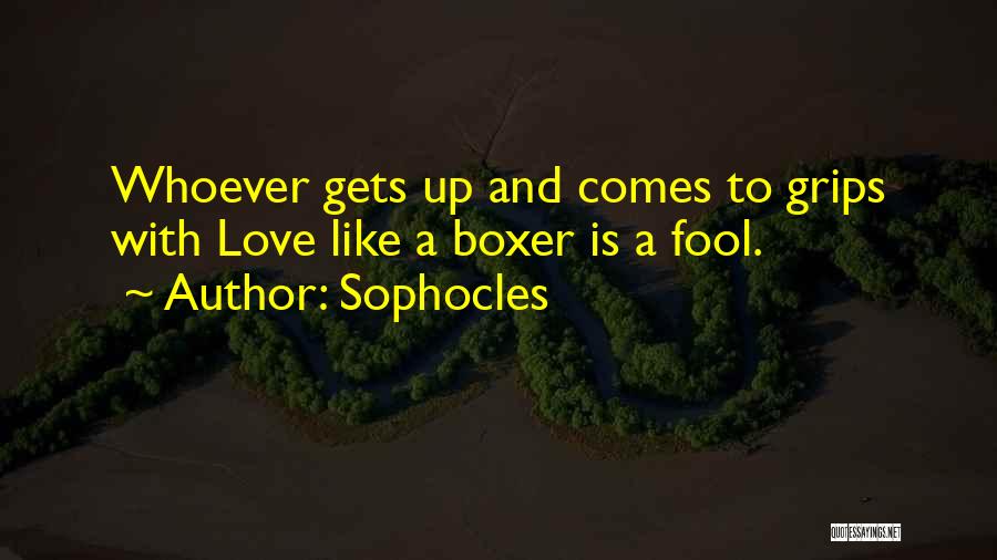 Sophocles Quotes: Whoever Gets Up And Comes To Grips With Love Like A Boxer Is A Fool.