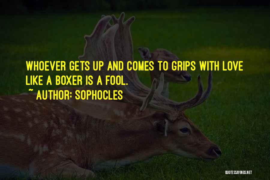 Sophocles Quotes: Whoever Gets Up And Comes To Grips With Love Like A Boxer Is A Fool.