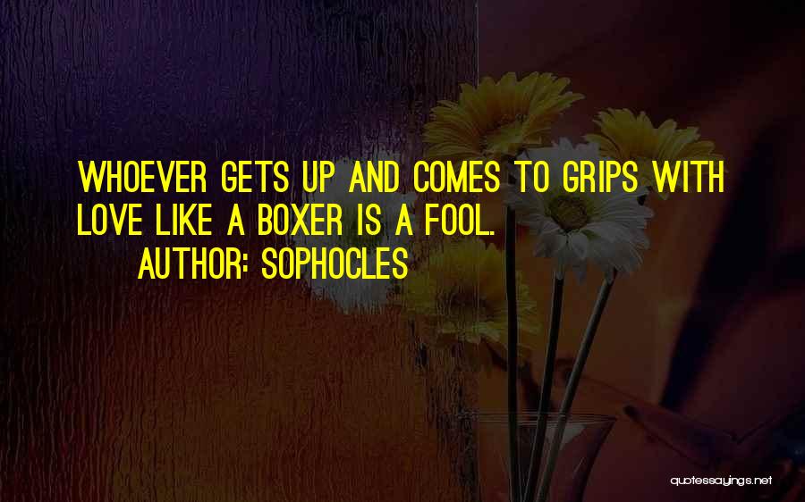 Sophocles Quotes: Whoever Gets Up And Comes To Grips With Love Like A Boxer Is A Fool.