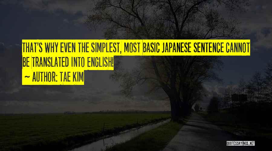 Tae Kim Quotes: That's Why Even The Simplest, Most Basic Japanese Sentence Cannot Be Translated Into English!