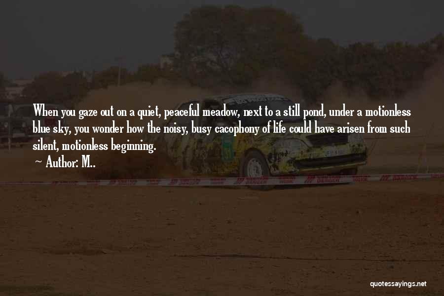 M.. Quotes: When You Gaze Out On A Quiet, Peaceful Meadow, Next To A Still Pond, Under A Motionless Blue Sky, You