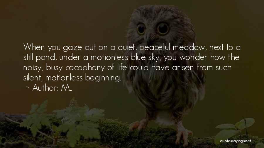 M.. Quotes: When You Gaze Out On A Quiet, Peaceful Meadow, Next To A Still Pond, Under A Motionless Blue Sky, You